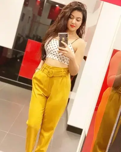 Ludhiana Escort Service